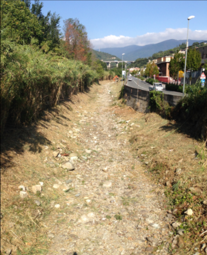 Proseguono i lavori di sfalcio e pulizia dei fiumi sul territorio finalese Proseguono i lavori di sfalcio e pulizia dei fiumi sul territorio finalese