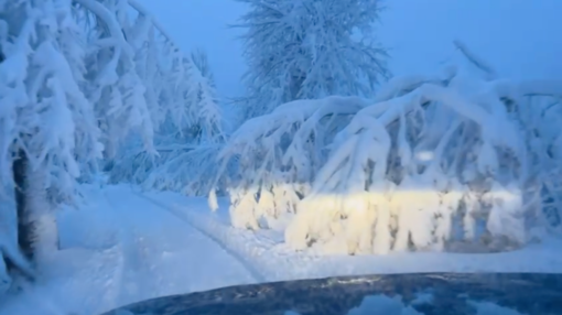 Roccavignale, stretta del sindaco dopo le nevicate: controlli e sanzioni per chi non taglia le piante pericolanti Roccavignale, stretta del sindaco dopo le nevicate: controlli e sanzioni per chi non taglia le piante pericolanti