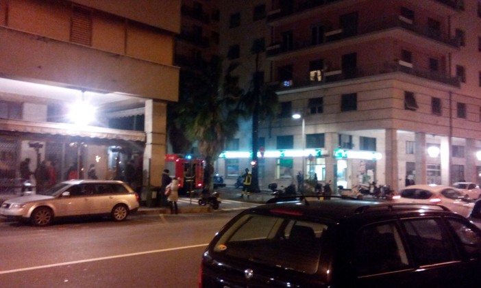Savona, a fuoco una palma in via Gramsci Savona, a fuoco una palma in via Gramsci
