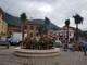 Cisano sul Neva cambia volto con l’amministrazione Niero: interventi nel centro storico e nuove palme in piazza Gollo (FOTO e VIDEO)