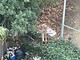 Savona, degrado in piazza Maestri dell'Artigianato. Consigliere Santi: "Venga ristabilito il decoro e l'igiene" Savona, degrado in piazza Maestri dell'Artigianato. Consigliere Santi: "Venga ristabilito il decoro e l'igiene"
