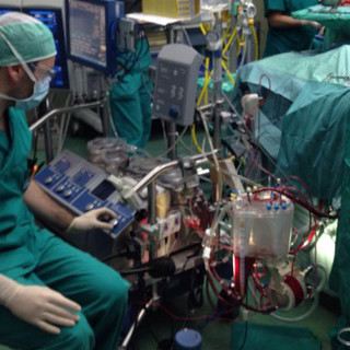 Giornata mondiale per il Cuore, l'ordine TSRM e PSTRP: "Dare la giusta importanza alla figura del perfusionista"