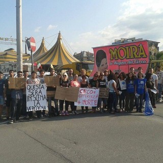 Savona, anche il M5S Liguria partecipa al presidio contro il circo Medrano