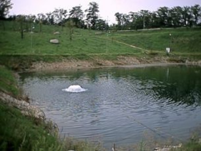 Savona: stop della pesca fluviale per il ripopolamento