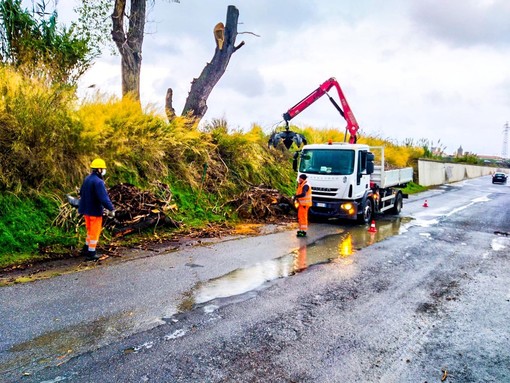 Albenga, la Protezione civile attiva sul territorio per la pulizia di rii e canali