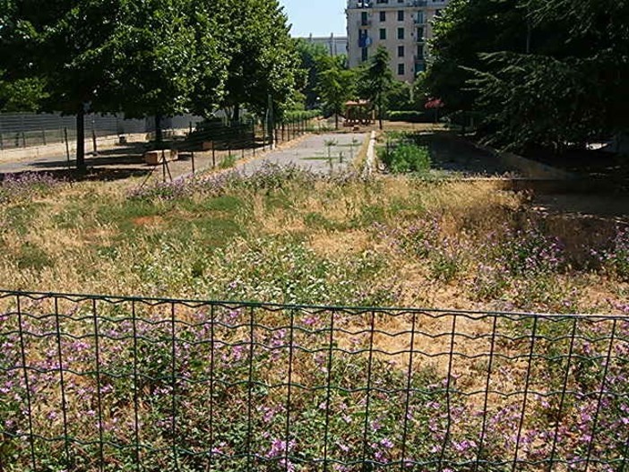 Savona, degrado in Piazza delle Nazioni, l'Enpa: "Riapriamo l'area cani"