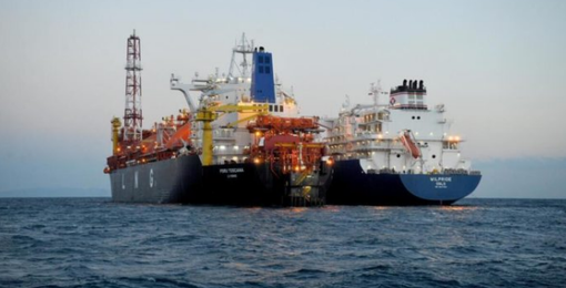 Rigassificatrice, WWF: &quot;Spostano la nave per nasconderne l’inutilità attestata dai dati ministeriali&quot;