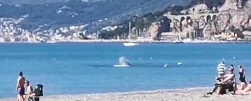 Albenga, danneggiata una condotta fognaria al largo di Vadino: scatta il divieto di balneazione