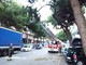 Savona, crolla un grosso ramo di pino in corso Tardy & Benech Savona, crolla un grosso ramo di pino in corso Tardy & Benech