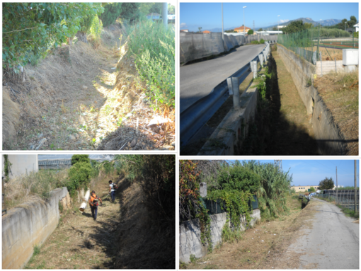 Albenga pulisce i rii, il sindaco Cangiano: "La prevenzione è fondamentale"