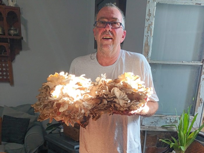 Il mitico "barbaxin" spunta anche nei boschi del savonese: raccolto ricco per un fungaiolo finalese (FOTO) Il mitico "barbaxin" spunta anche nei boschi del savonese: raccolto ricco per un fungaiolo finalese (FOTO)
