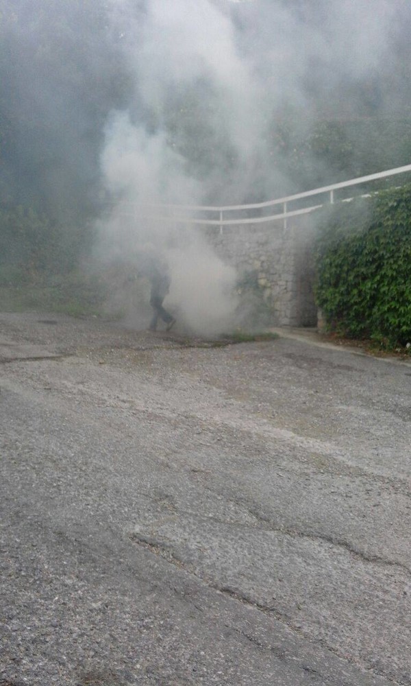 Brucia residui vegetali sulla strada, la denuncia di una lettrice: "Senso civico, questo sconosciuto"