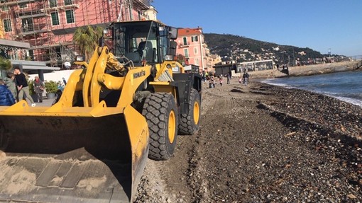 Alassio, lo sfogo di Melgrati: "Manco i detriti sulla spiaggia con la ruspa mi lasciano togliere"