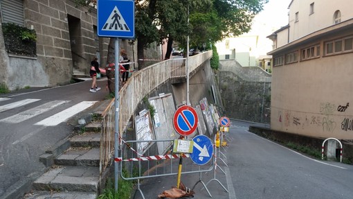 Savona, ramo cade su auto in via Montegrappa Savona, ramo cade su auto in via Montegrappa