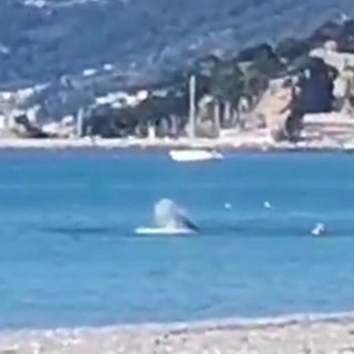 Albenga, danneggiata una condotta fognaria al largo di Vadino: scatta il divieto di balneazione