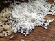 Giornata della ristorazione, ad Albenga Confcommercio Savona e Fipe organizzano un convegno: ingrediente simbolo del 2026 il riso