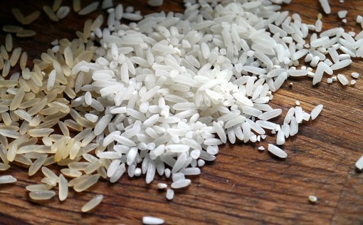 Giornata della ristorazione, ad Albenga Confcommercio Savona e Fipe organizzano un convegno: ingrediente simbolo del 2026 il riso
