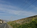 Raddoppio Finale-Andora, avanza l'iter: il 10 settembre la Conferenza dei Servizi per l’approvazione del progetto definitivo Raddoppio Finale-Andora, avanza l'iter: il 10 settembre la Conferenza dei Servizi per l’approvazione del progetto definitivo