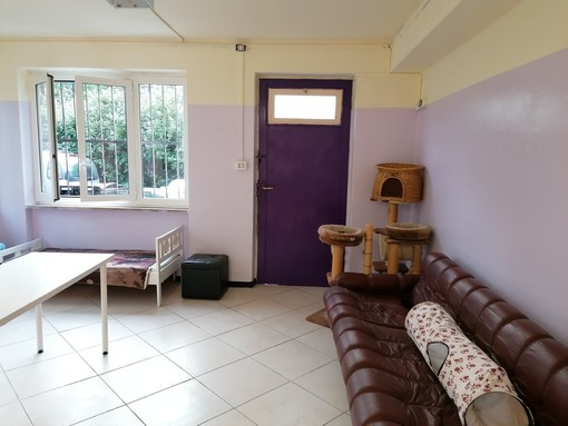 Cairo, il 25 giugno l'inaugurazione del nuovo rifugio felino a Bragno. L'associazione Lida Valbormida: "Cerchiamo volontari"