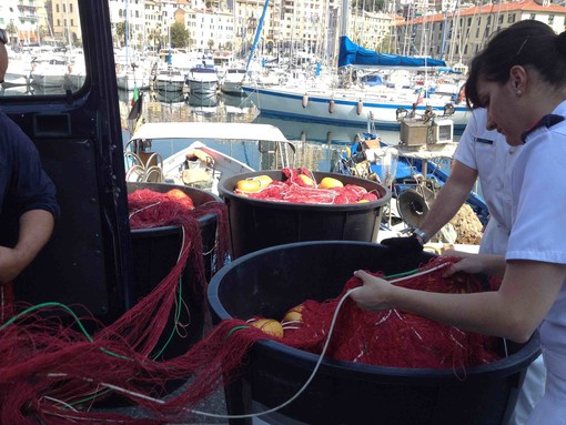 Pesca: "Dalla rete al piatto" un convegno sulla tracciabilita' Pesca: "Dalla rete al piatto" un convegno sulla tracciabilita'