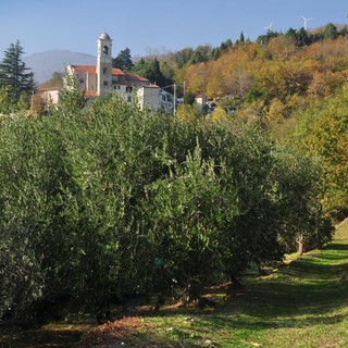 Natura da mangiare a Rialto con "La Pentola della Strega"