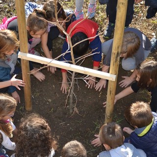 Spotorno, il 30 novembre torna la Festa dell’Albero