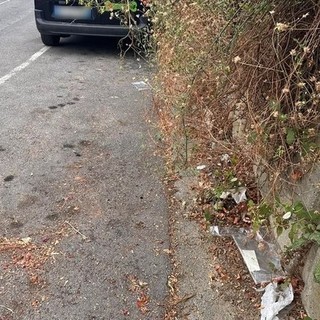 Savona, lettera al direttore: "Zona parcheggi fronte ospedale infestata dai rovi"