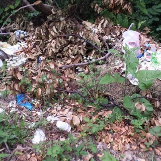 La raccolta differenziata dei rifiuti urbani in Savona e Provincia: primi dati significativi e considerazioni dei “Verdi” su “zero waste”