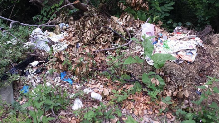 La raccolta differenziata dei rifiuti urbani in Savona e Provincia: primi dati significativi e considerazioni dei “Verdi” su “zero waste” La raccolta differenziata dei rifiuti urbani in Savona e Provincia: primi dati significativi e considerazioni dei “Verdi” su “zero waste”