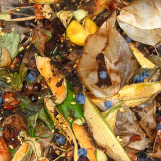 Albenga, smaltimento rifiuti agricoli: la CIA propone soluzioni alternative