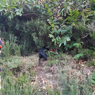 Magliolo, ancora senza esito le ricerche di Luca Catania: giovedi tavolo in Prefettura (FOTO e VIDEO)