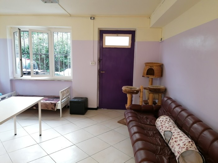 Cairo, il 25 giugno l'inaugurazione del nuovo rifugio felino a Bragno. L'associazione Lida Valbormida: "Cerchiamo volontari"