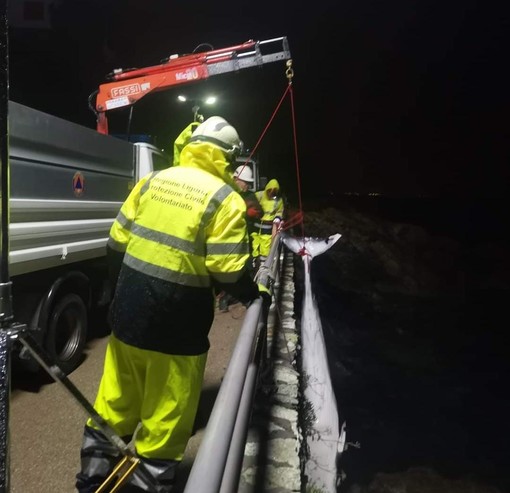 Varazze, rimossa la carcassa di una balenottera giovane trovata sotto Lungomare Europa Varazze, rimossa la carcassa di una balenottera giovane trovata sotto Lungomare Europa