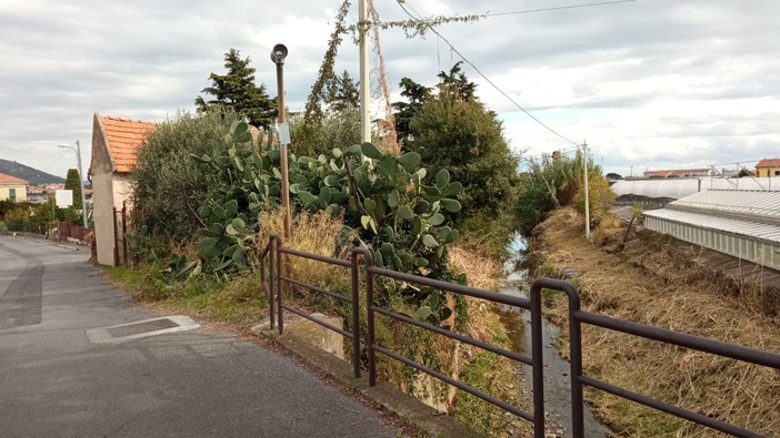 Nelle foto allegate all'articolo si può osservare la vicinanza del Carenda alla sede stradale, alle case e ai terreni coltivati