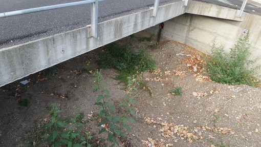 Allarme dai residenti di Garlenda:“I liquami fognari finiscono direttamente nel fiume Lerrone” Allarme dai residenti di Garlenda:“I liquami fognari finiscono direttamente nel fiume Lerrone”