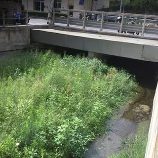 Savona, presentato dal comune il progetto per gli interventi sul rio Molinero