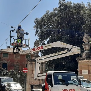 Albissola, un piano di riammodernamento dell'illuminazione pubblica improntato a risparmio e efficienza