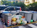 Raccolta rifiuti a Savona, Marino (Savona Intelligente) :”Il sindaco emetta un'ordinanza urgente per la pulizia straordinaria della città"