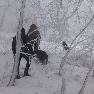 Perde l'orientamento durante un'escursione sul Beigua: donna ritrovata grazie al sistema Locator Perde l'orientamento durante un'escursione sul Beigua: donna ritrovata grazie al sistema Locator