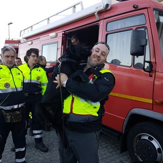 I cani cerca persone, ecco come operano le Unità Cinofile