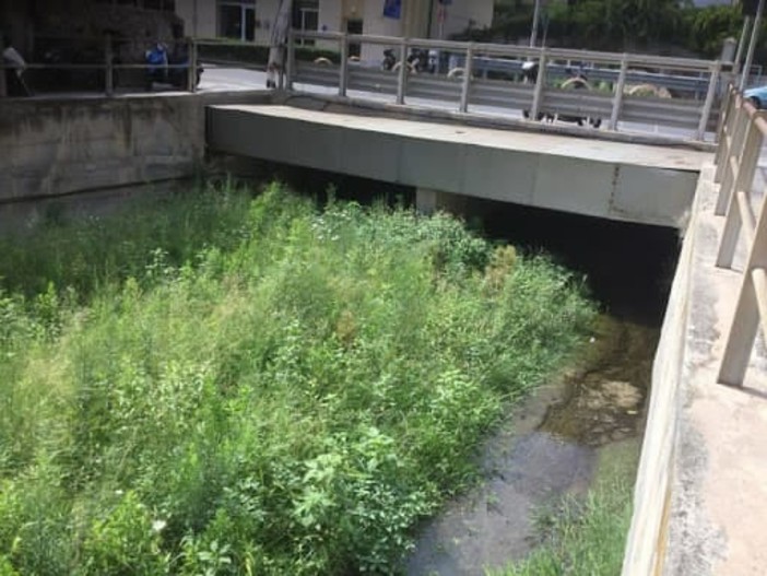 Savona, presentato dal comune il progetto per gli interventi sul rio Molinero Savona, presentato dal comune il progetto per gli interventi sul rio Molinero