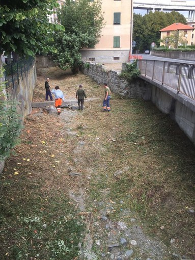 Celle, taglio selettivo della vegetazione e rimozione dei rifiuti urbani nel rio Sanda Celle, taglio selettivo della vegetazione e rimozione dei rifiuti urbani nel rio Sanda