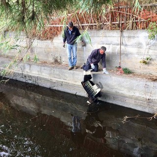 Albenga, prosegue la pulizia del rio Avarenna (FOTO)