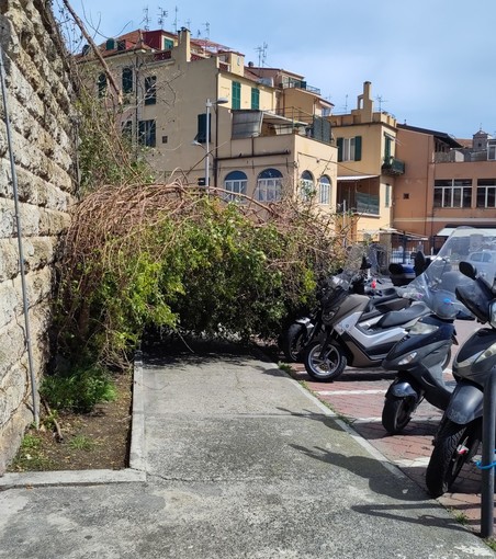 Simonetti (Scelgo Finale): "Stazione nel degrado, Guzzi promette quello che non ha mantenuto" Simonetti (Scelgo Finale): "Stazione nel degrado, Guzzi promette quello che non ha mantenuto"