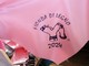 Albenga, sale l'attesa per la Fionda di Legno: il tradizionale foulard si tinge di rosa