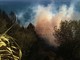 Emergenza incendi: ripartite le fiamme in regione Rollo. Continuano a bruciare le colline di Testico