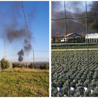 Albenga, brucia plastica in località Coste di Leca: uomo deferito dai carabinieri forestali