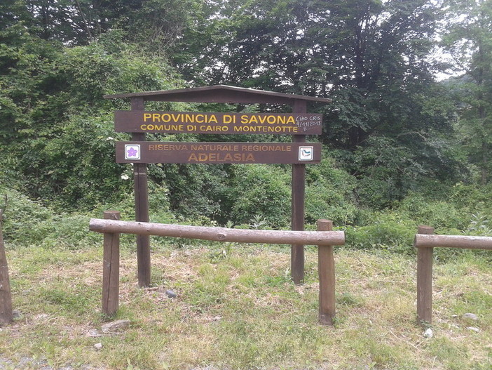 Il Comune di Cairo a caccia di finanziamenti per il restyling della strada bianca “Ferranietta – Cisa” Il Comune di Cairo a caccia di finanziamenti per il restyling della strada bianca “Ferranietta – Cisa”