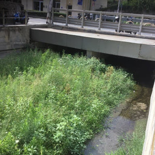 Rio Molinero a Savona, 1 milione e 200mila euro per l'approvazione del primo stralcio Rio Molinero a Savona, 1 milione e 200mila euro per l'approvazione del primo stralcio