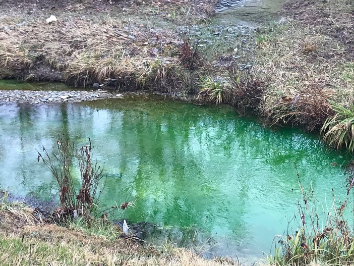 Cairo, l'acqua del rio 'Ville" diventa verde: la colpa è di un tracciante (FOTO e VIDEO) Cairo, l'acqua del rio 'Ville" diventa verde: la colpa è di un tracciante (FOTO e VIDEO)